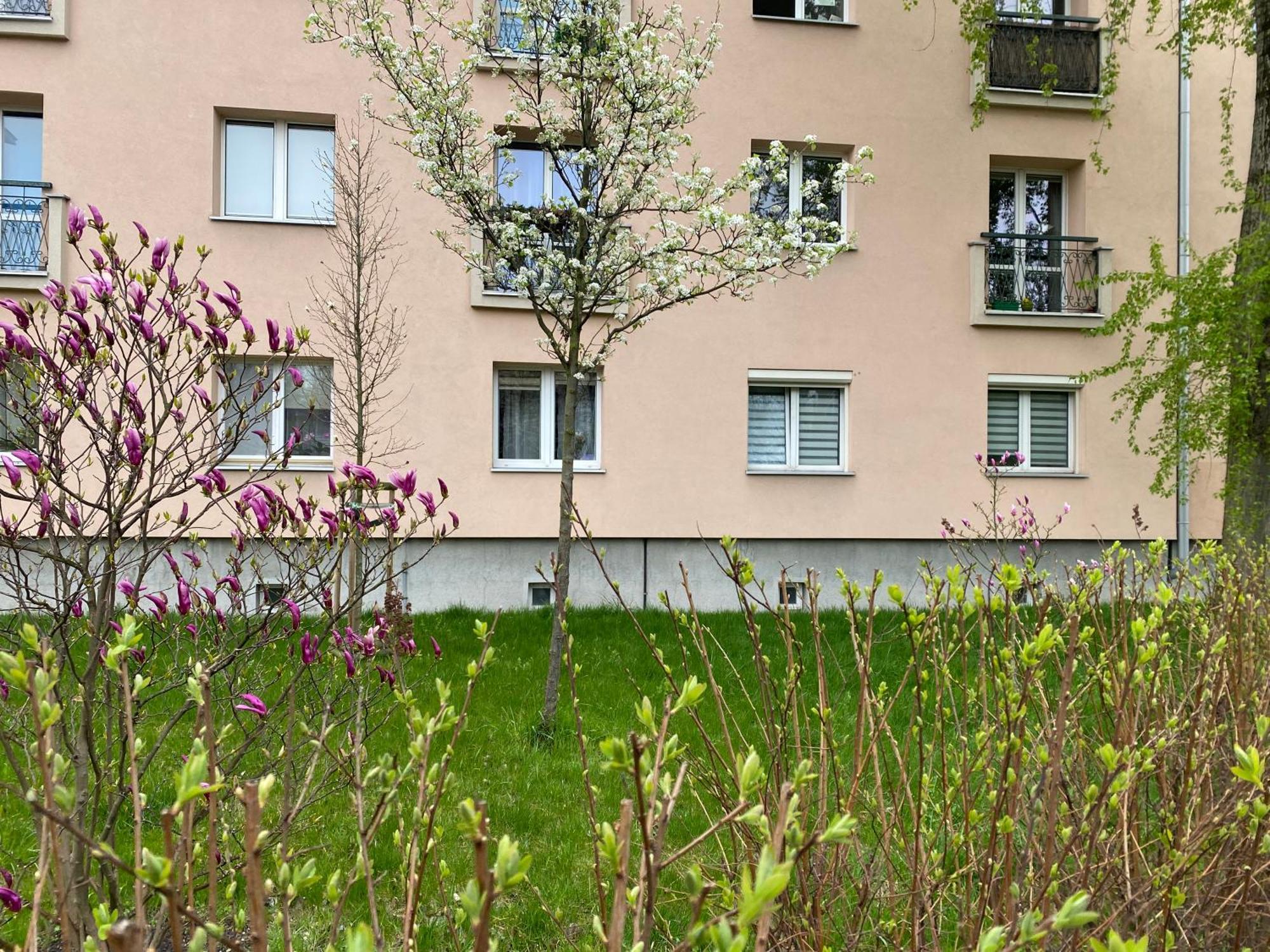 Your Cozy Hideaway Krakau