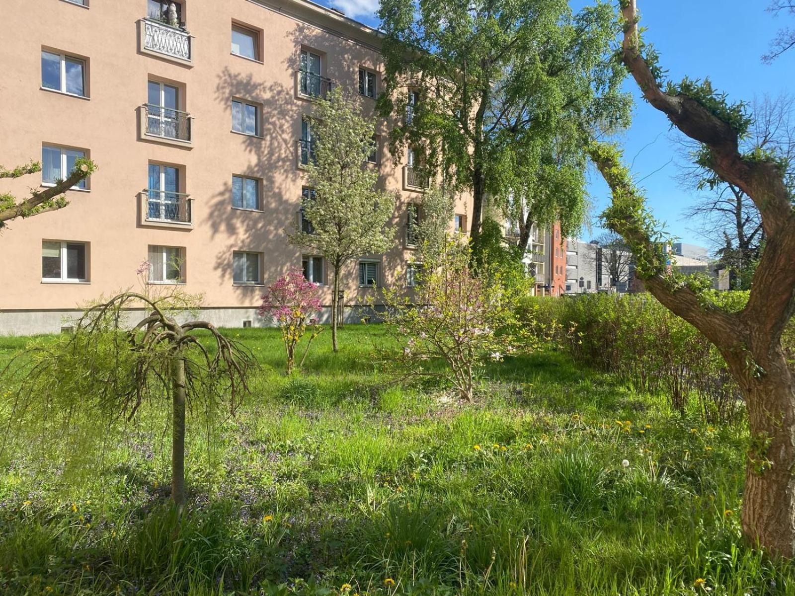 Your Cozy Hideaway Krakau